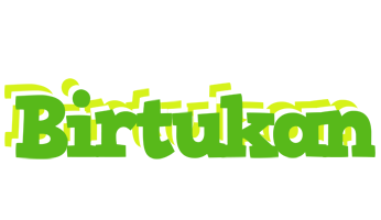 Birtukan picnic logo