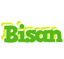 Bisan picnic logo