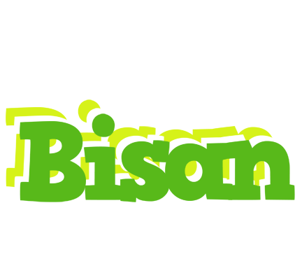 Bisan picnic logo
