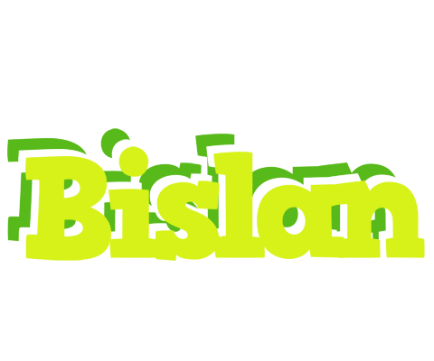 Bislan citrus logo