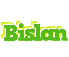 Bislan picnic logo