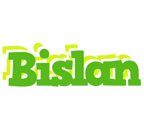 Bislan picnic logo