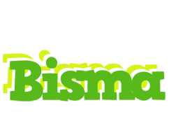 Bisma picnic logo