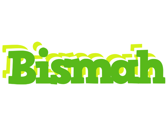 Bismah picnic logo
