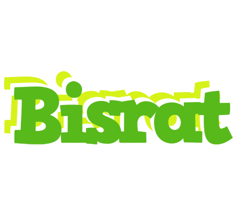 Bisrat picnic logo