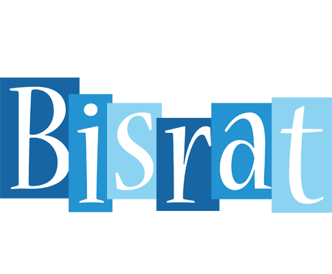 Bisrat winter logo