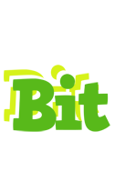 Bit picnic logo