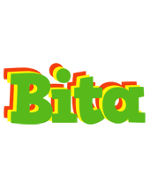 Bita crocodile logo