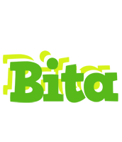 Bita picnic logo