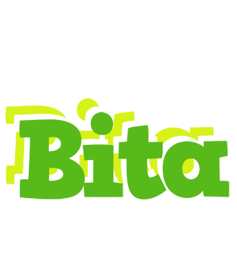 Bita picnic logo