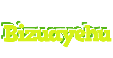 Bizuayehu citrus logo