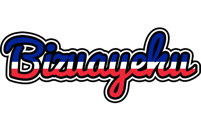 Bizuayehu france logo