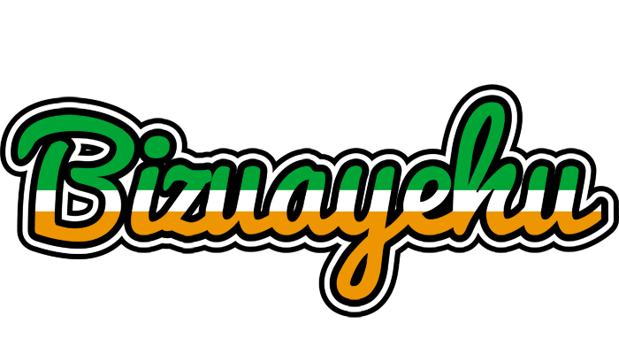 Bizuayehu ireland logo