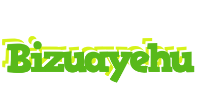 Bizuayehu picnic logo