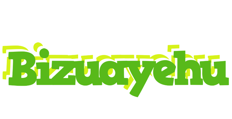 Bizuayehu picnic logo
