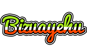 Bizuayehu superfun logo