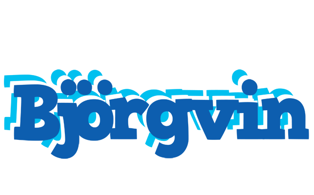 Björgvin business logo