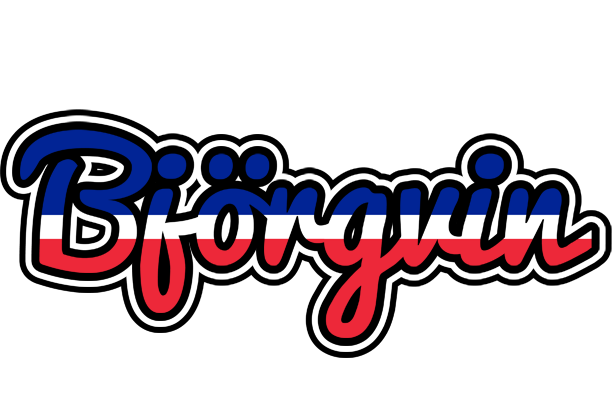 Björgvin france logo