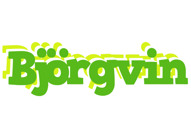 Björgvin picnic logo