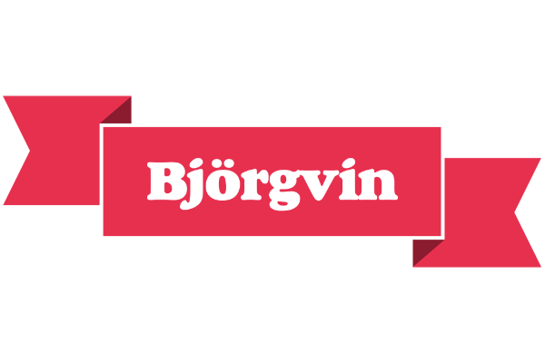 Björgvin sale logo