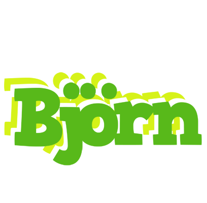 Björn picnic logo
