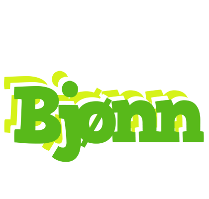 Bjønn picnic logo