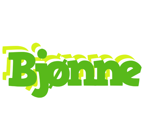 Bjønne picnic logo
