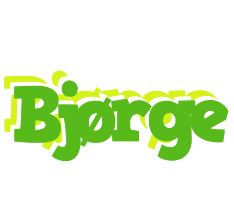 Bjørge picnic logo