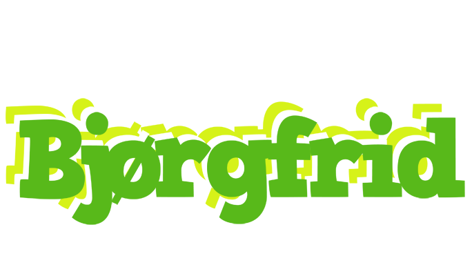 Bjørgfrid picnic logo