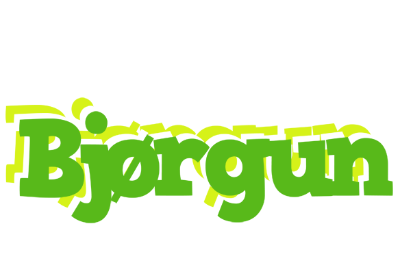 Bjørgun picnic logo