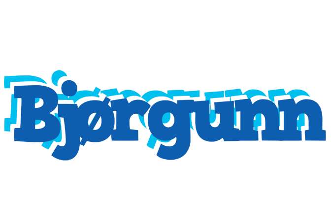 Bjørgunn business logo