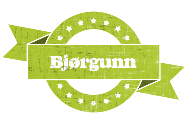Bjørgunn change logo