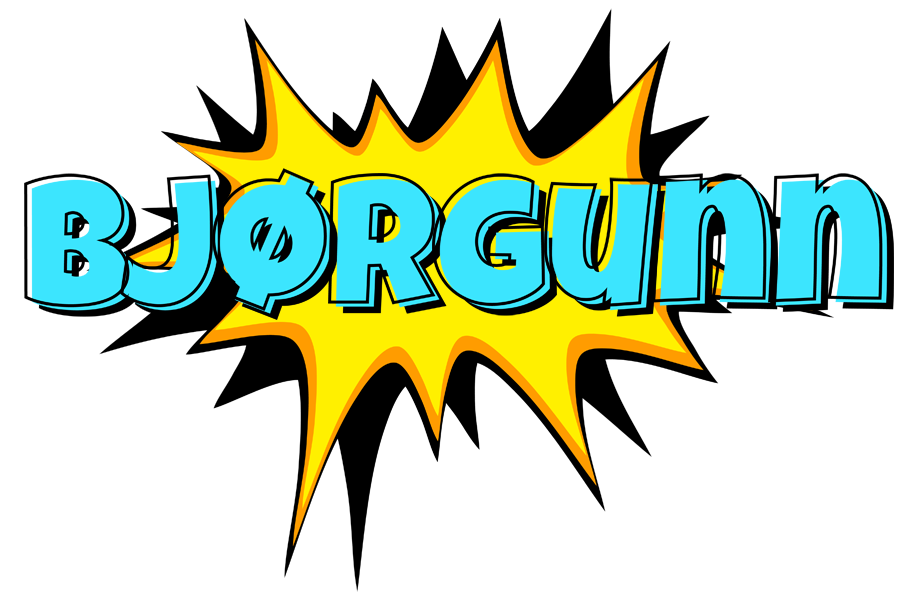 Bjørgunn indycar logo