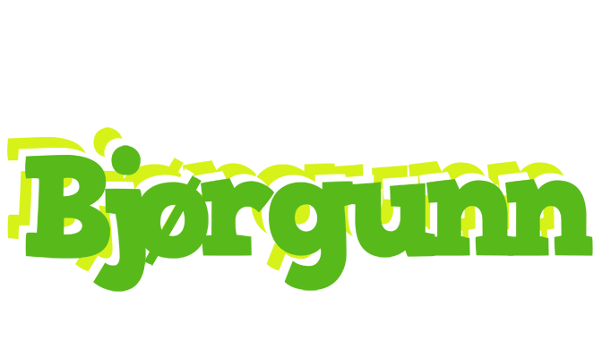 Bjørgunn picnic logo