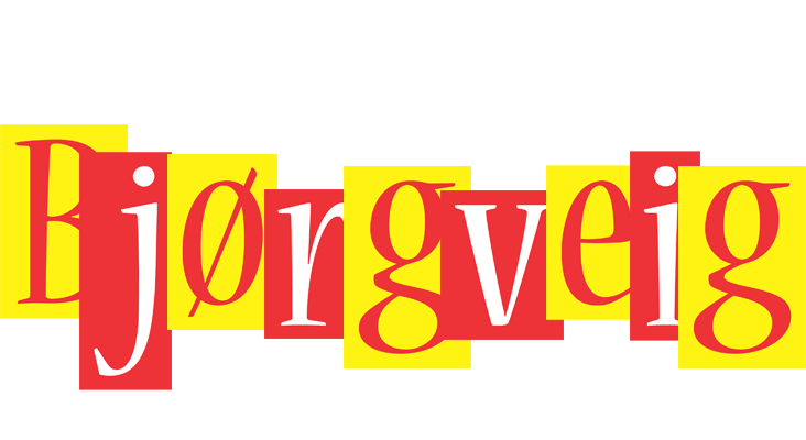 Bjørgveig errors logo