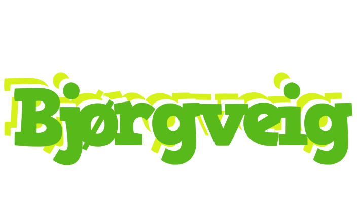 Bjørgveig picnic logo