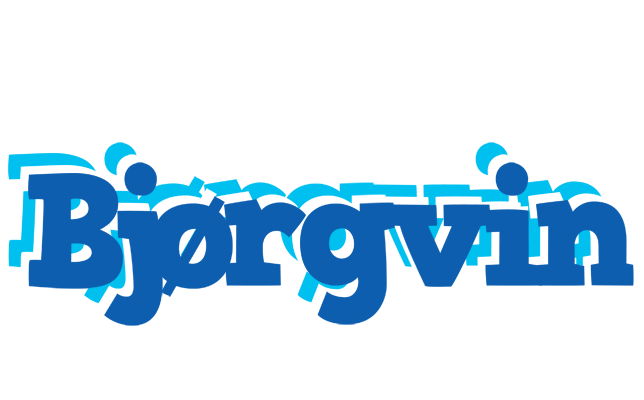 Bjørgvin business logo