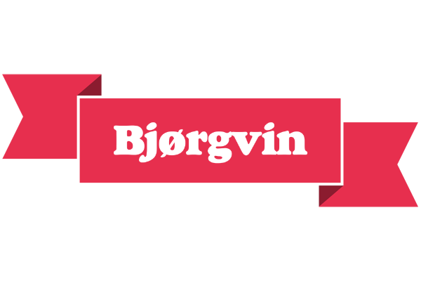 Bjørgvin sale logo