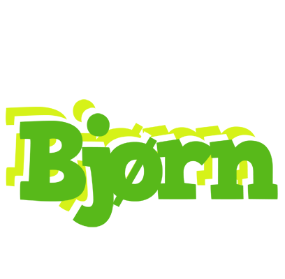 Bjørn picnic logo