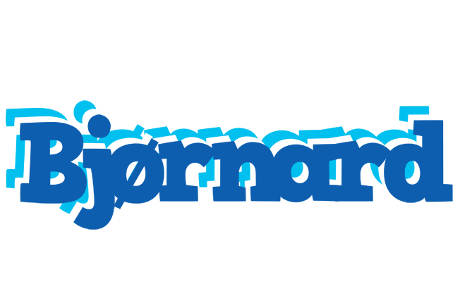 Bjørnard business logo