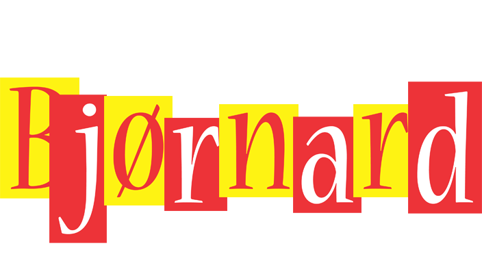 Bjørnard errors logo