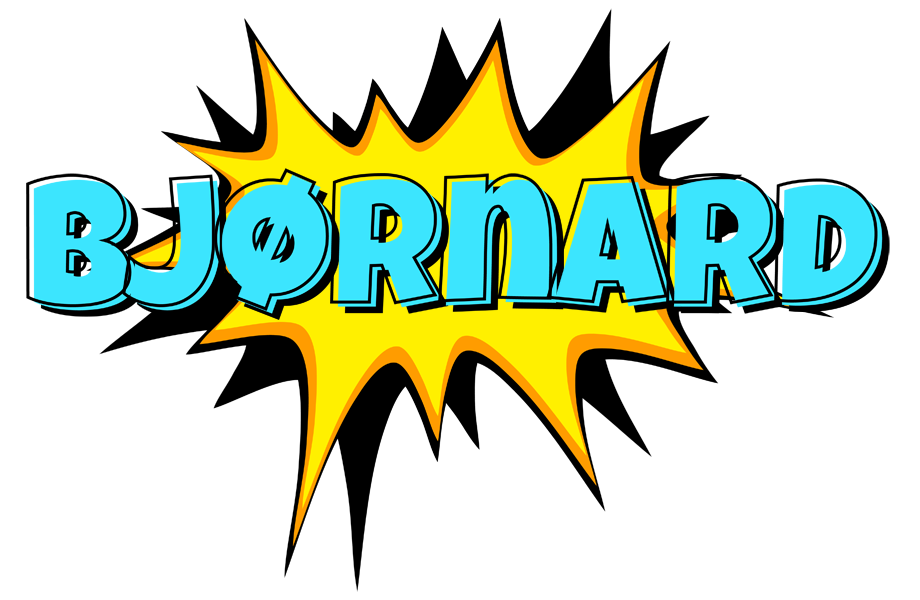 Bjørnard indycar logo