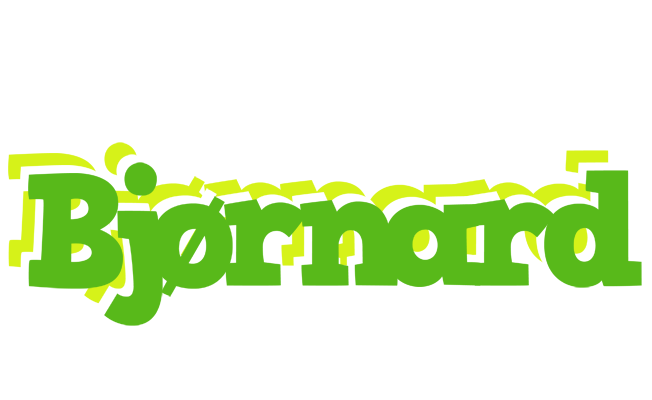 Bjørnard picnic logo