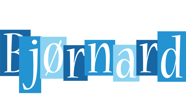 Bjørnard winter logo