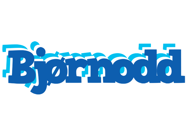 Bjørnodd business logo
