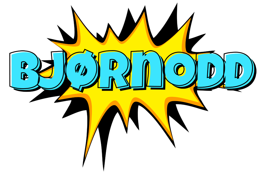 Bjørnodd indycar logo