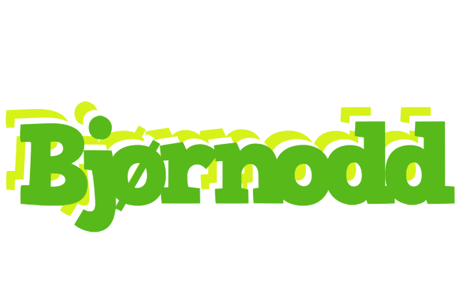 Bjørnodd picnic logo