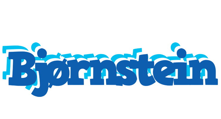 Bjørnstein business logo