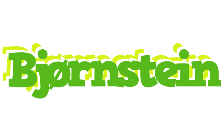 Bjørnstein picnic logo