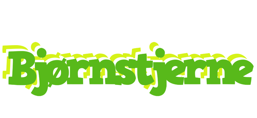 Bjørnstjerne picnic logo